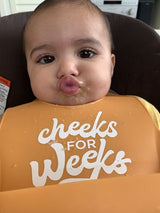 Cheeks for Weeks Wonderbib 🇺🇸